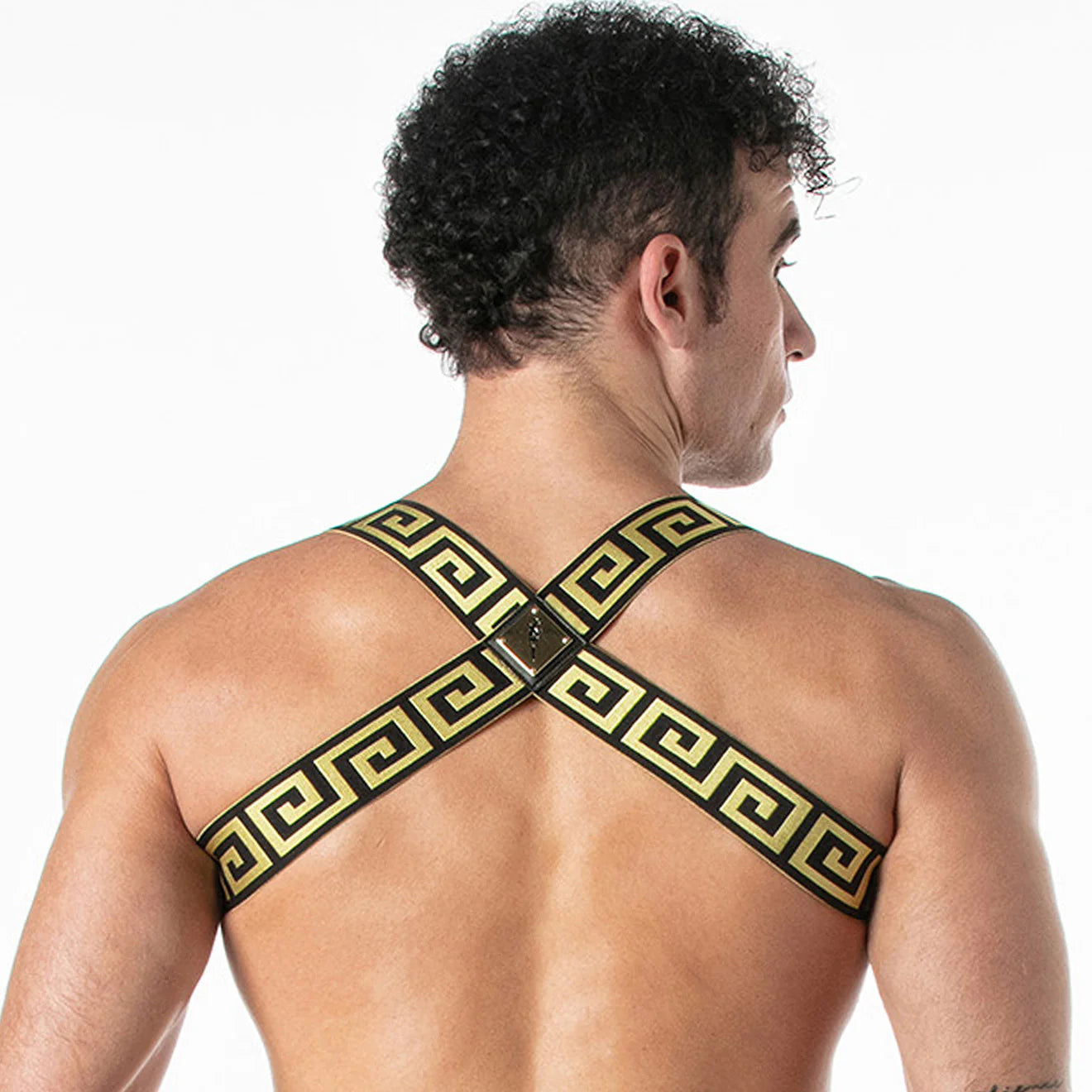 Leader Invictus Harness