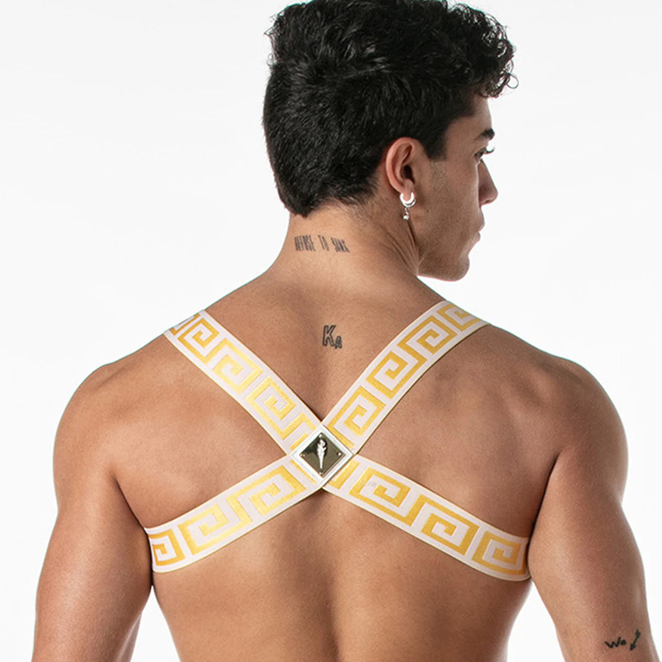 Leader Invictus Harness