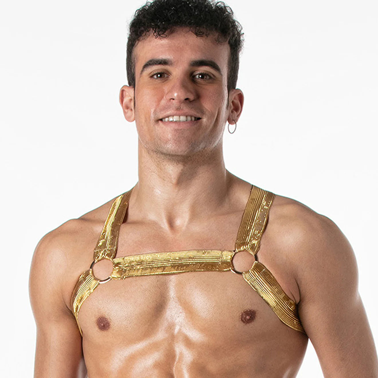 Leader Metallic Harness