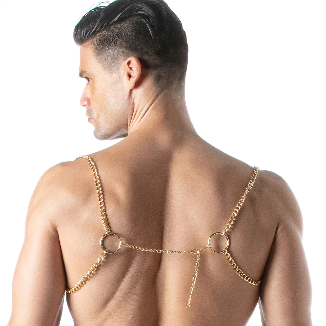 Leader Light Chain Harness