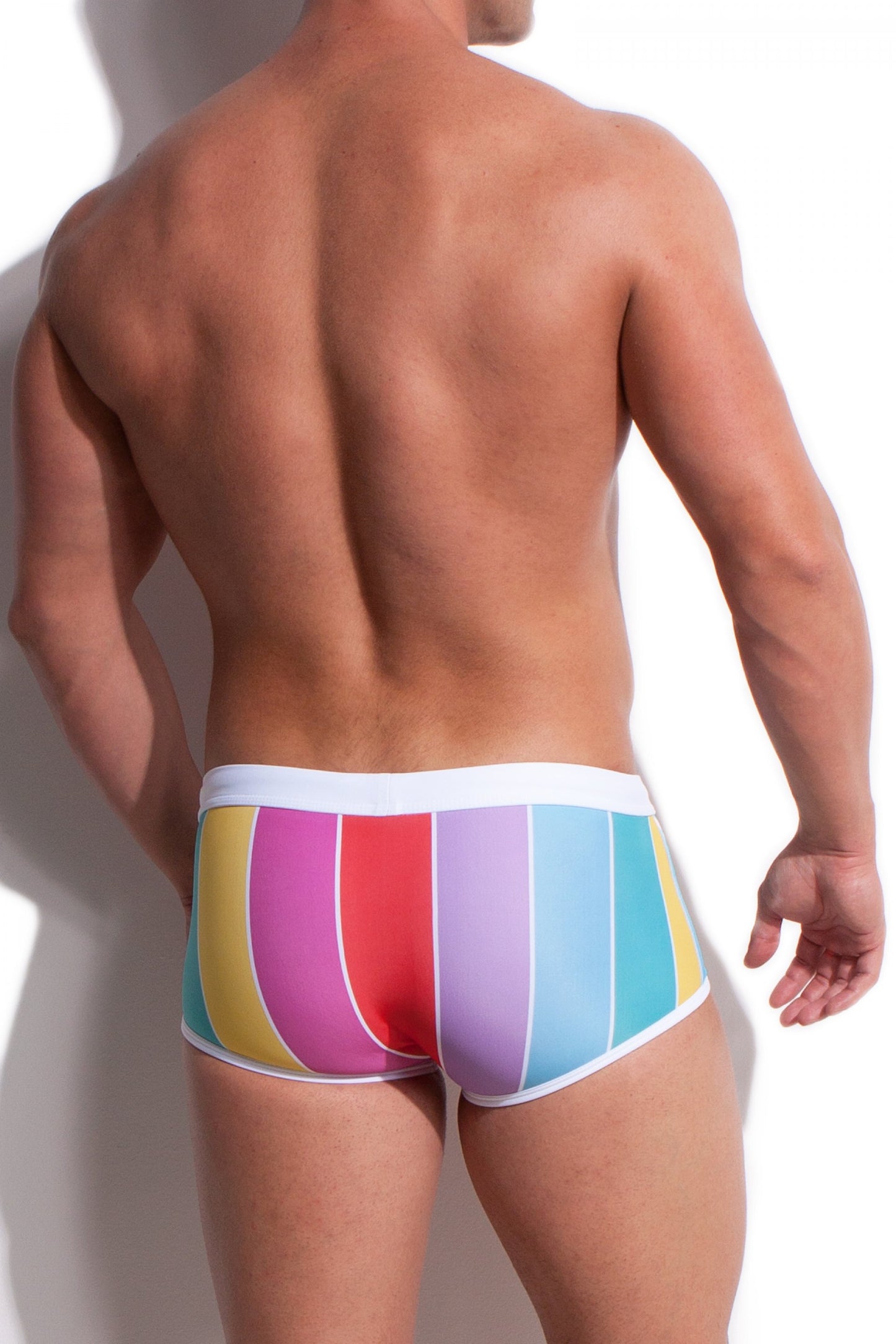 Alexander Cobb Stripe Swim Trunk