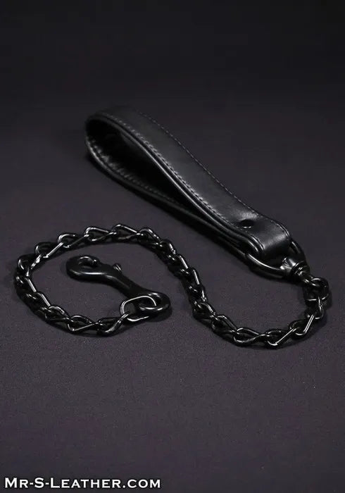 Mr. S Leather Leather Puppy Leash