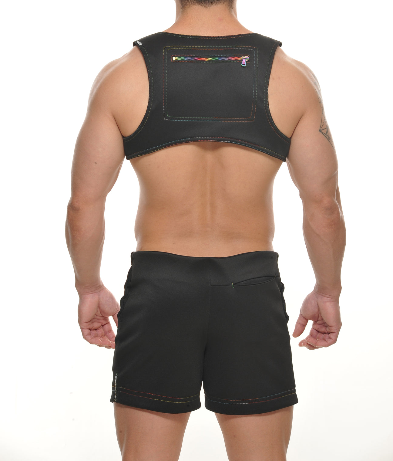 Stud Colt Pride Vest Harness
