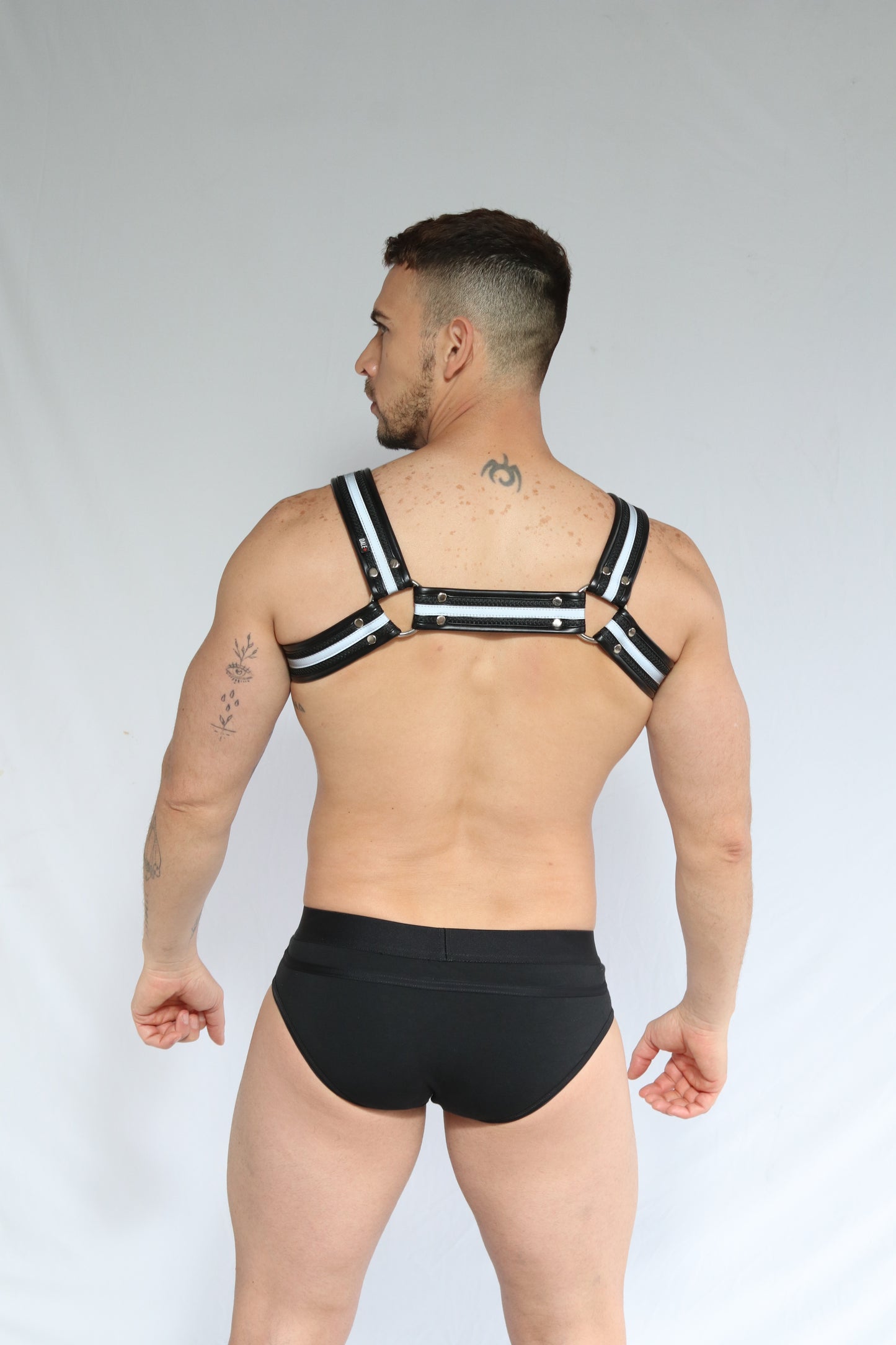 Dale+ Rebel Classic Harness