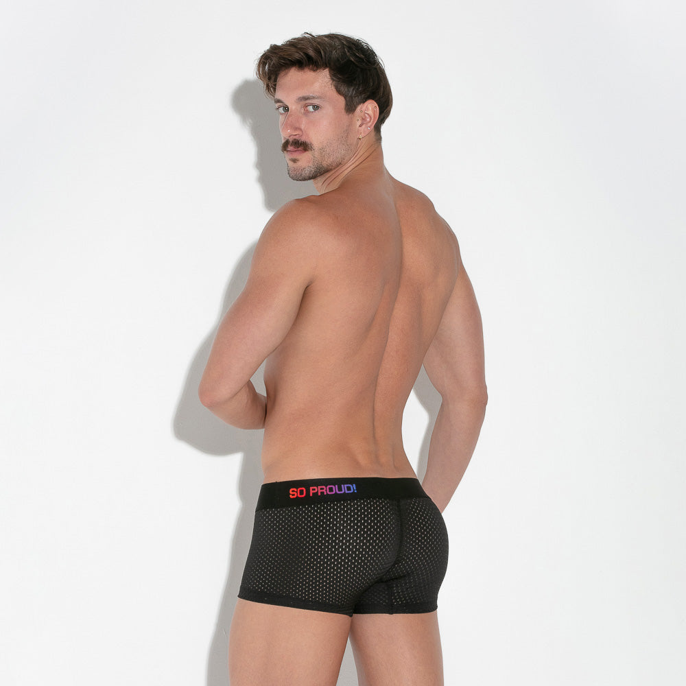 Code 22 Pride Mesh Trunks