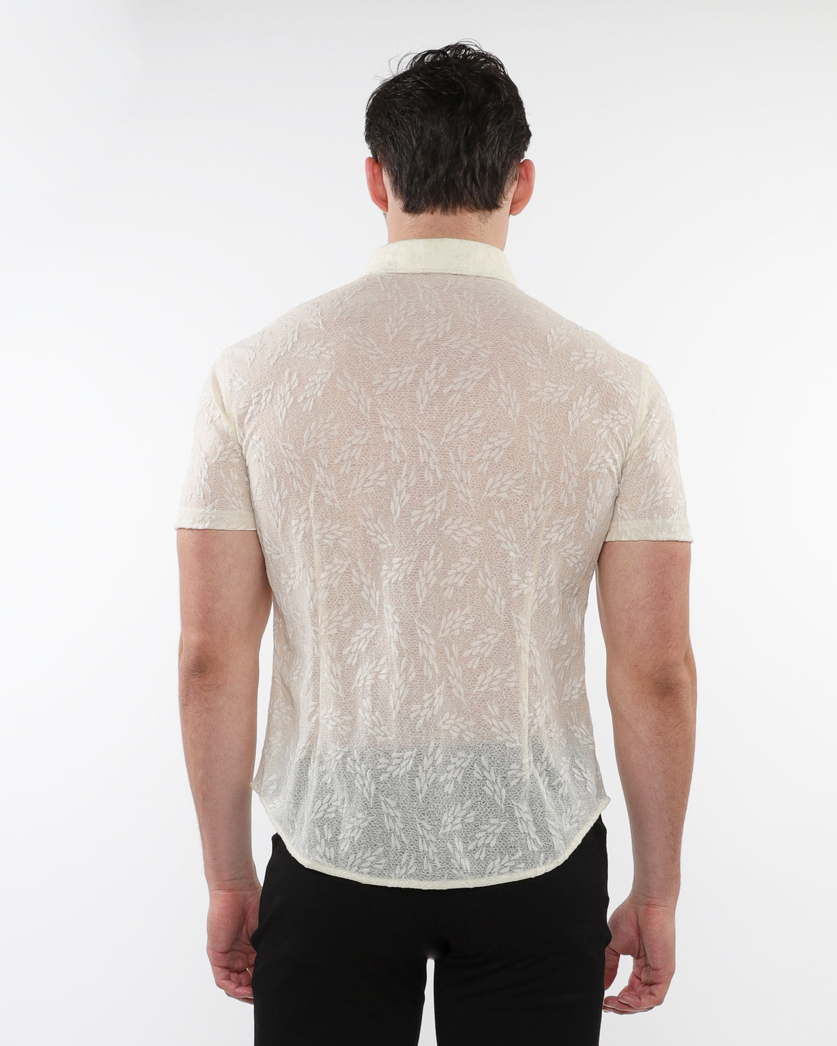 St33le Beige Leaves Gossamer Knit SS Shirt