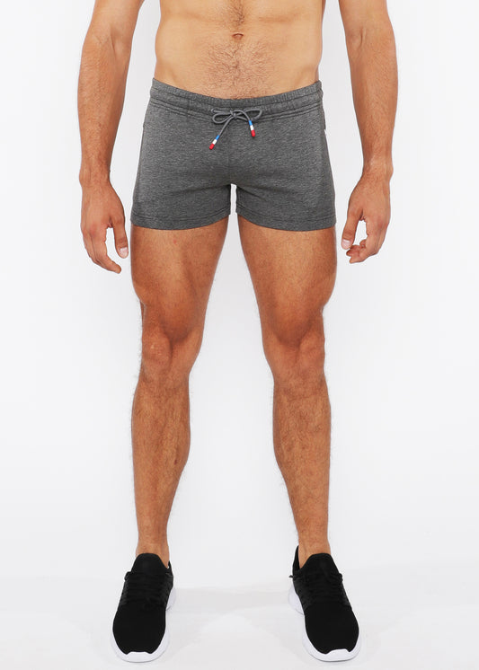 St33le Vault 3.5" Greystone Gym Short