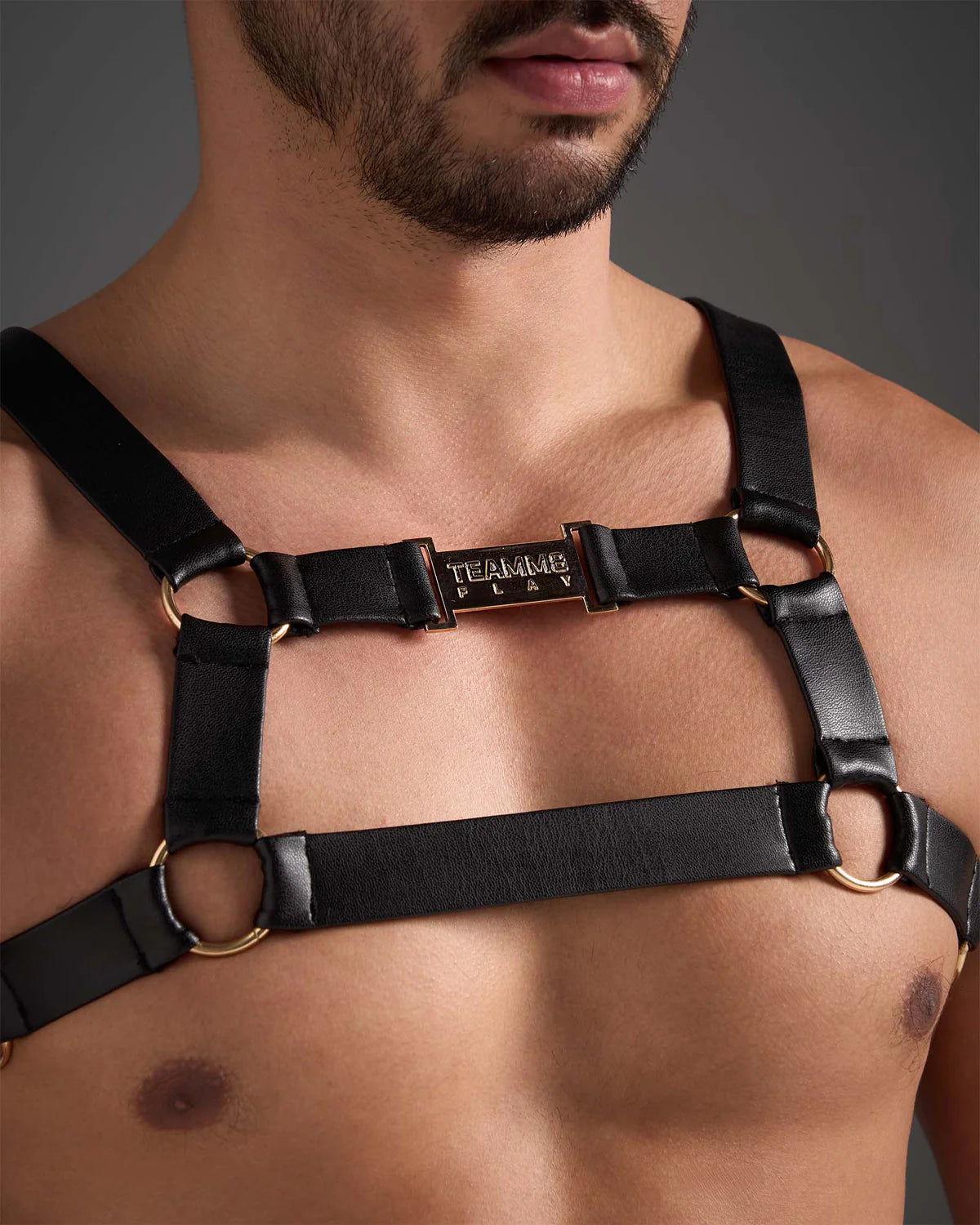 Team 8 - Flex Harness