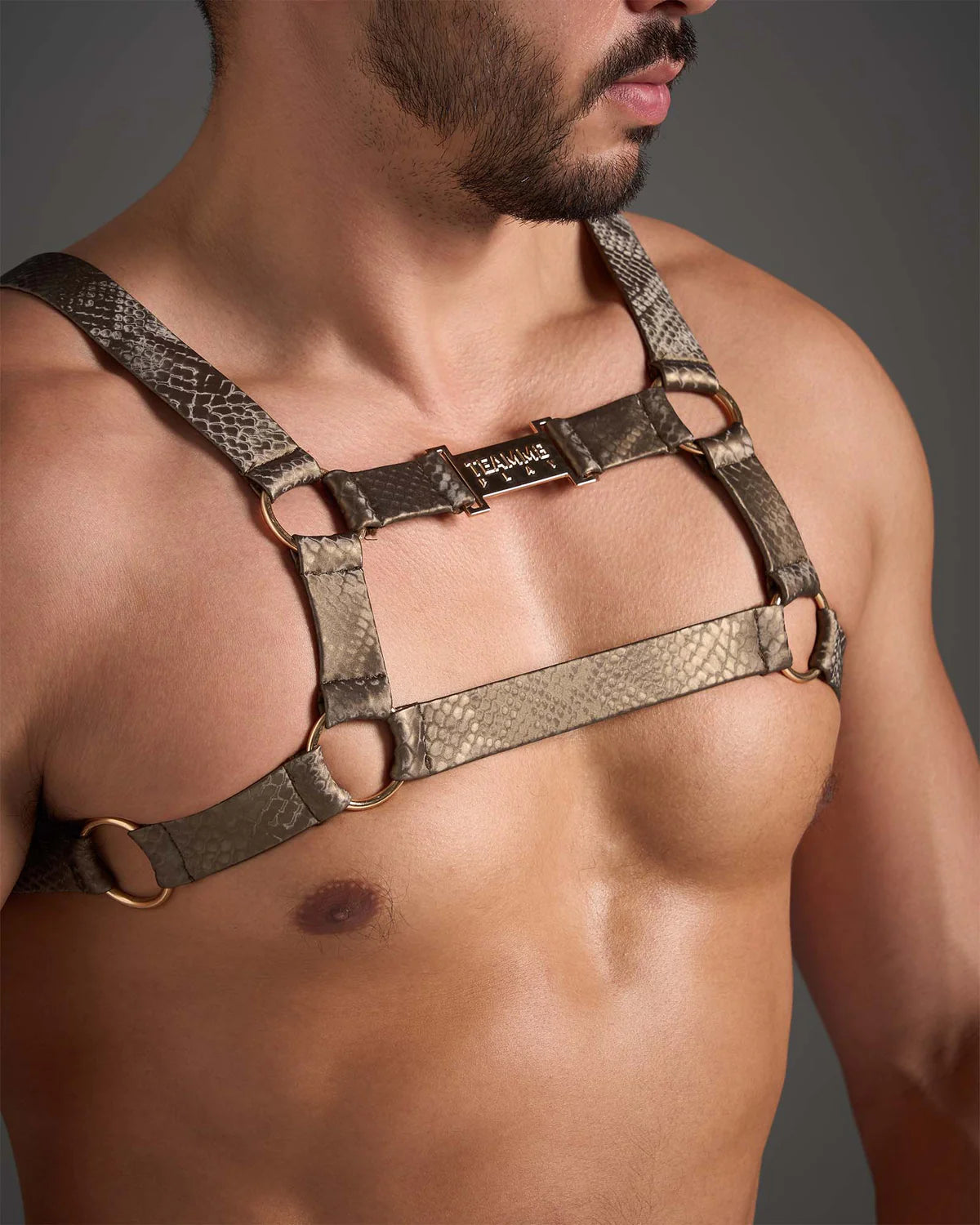 Team 8 - Flex Harness