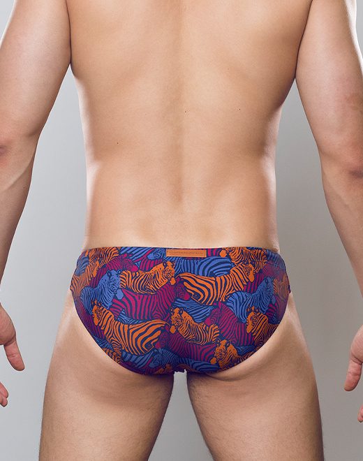 2eros V20 Stallion Navy Swim Brief