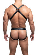 Sparta Nausica Body Harnesses