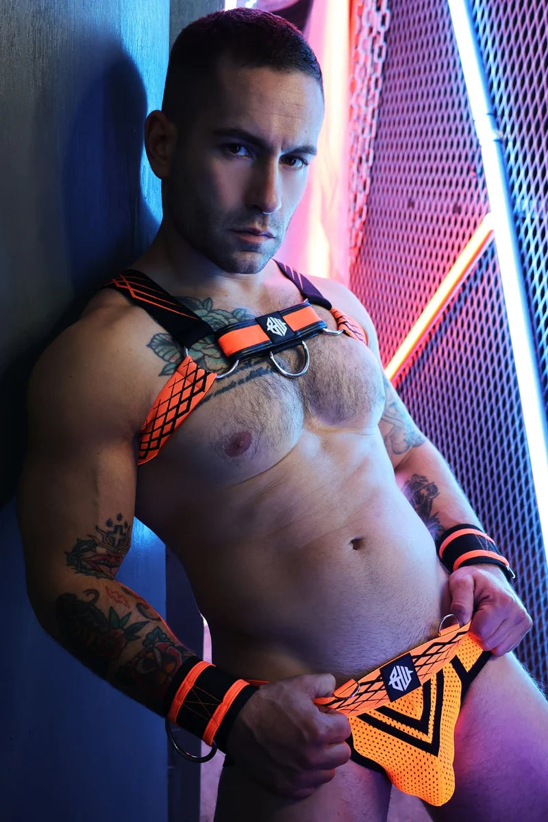Breedwell Revolution Bulldog Harness