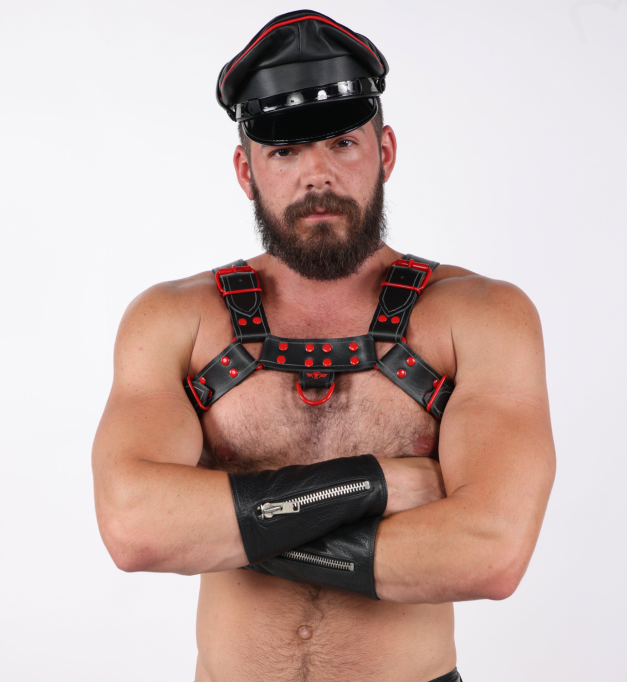 Sir Rat Armor Bulldog Harness