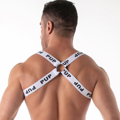 Leader ID Harness