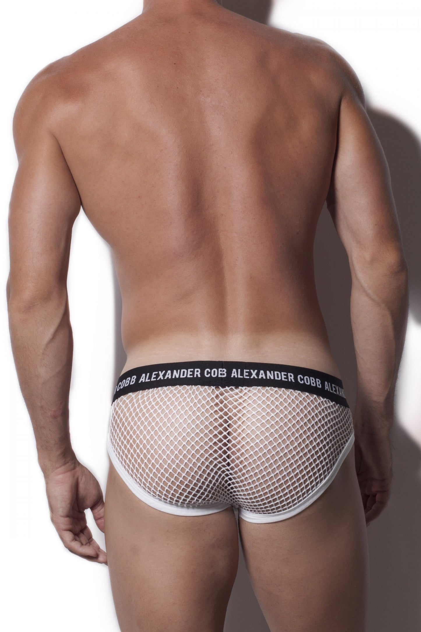 Alexander Cobb Fishnet Slip Briefs