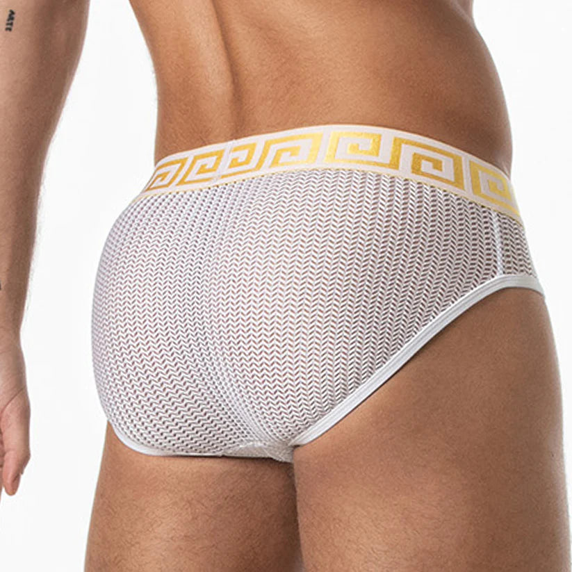 Leader Invictus Mesh Brief