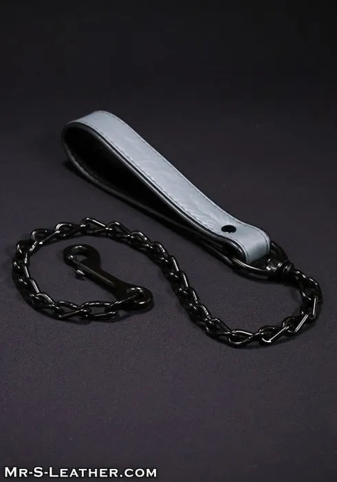 Mr. S Leather Leather Puppy Leash