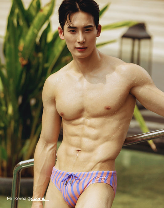 2EROS V10 Dolce Purple Brief