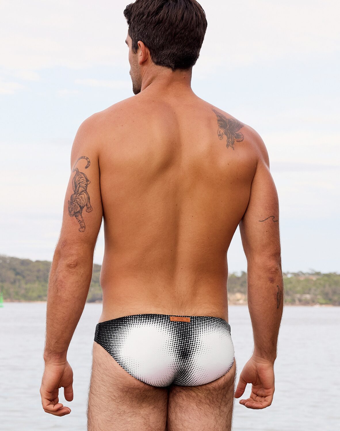 2eros V20 Cosmic Swim Brief