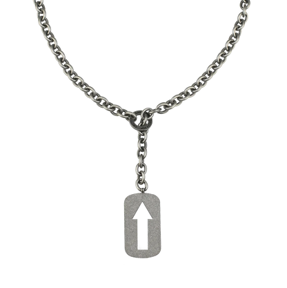 Gruff Pup Stainless Chain