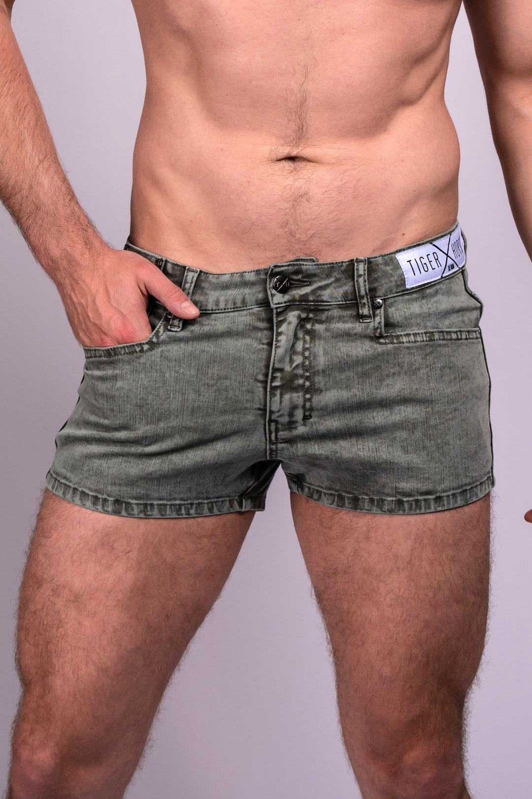 Tiger Horse Ceetee Snow Wash Short