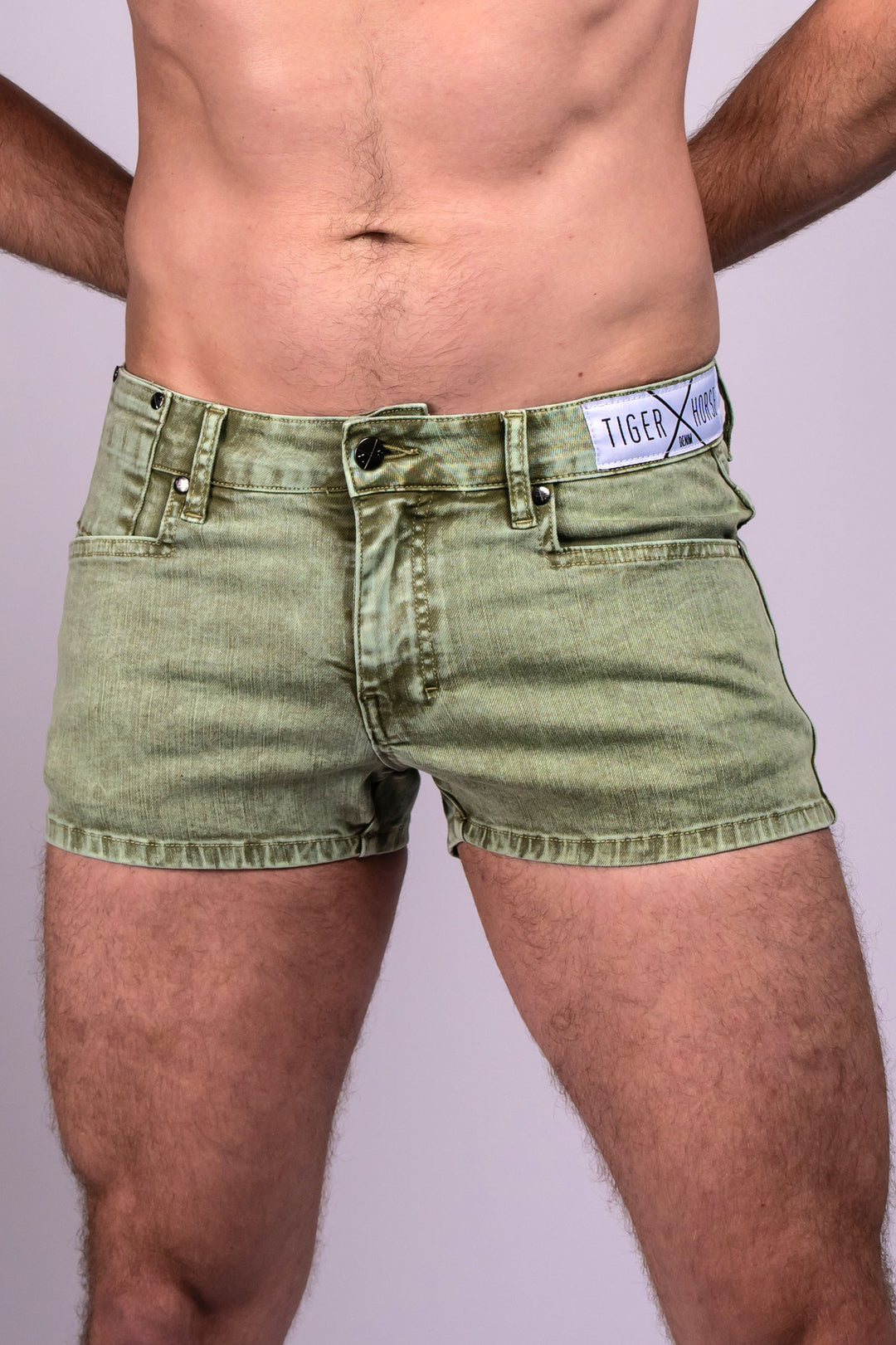 Tiger Horse Ceetee Snow Wash Short