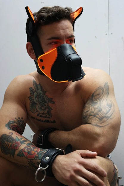 Breedwell Poundtown Pup Mask