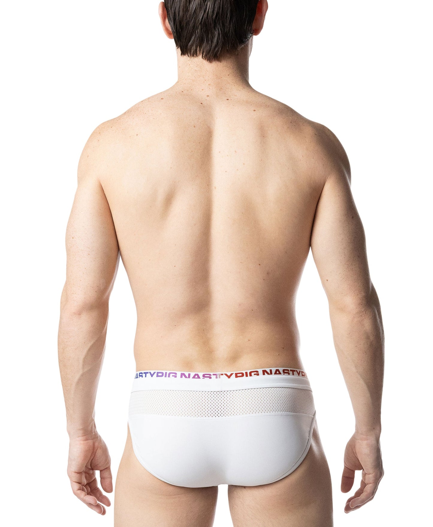 Nasty Pig Prism Pride Swim Bikini