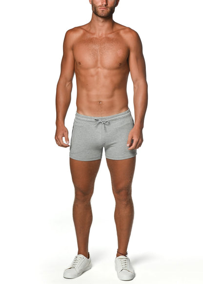 St33le Vault 3.5" Grey Gym Short