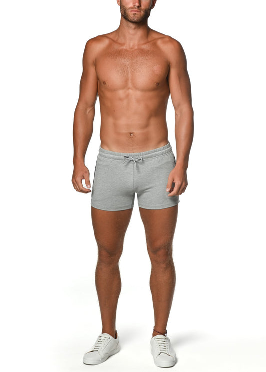 St33le Vault 3.5" Grey Gym Short