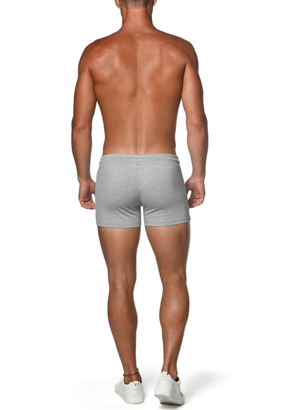 St33le Vault 3.5" Grey Gym Short