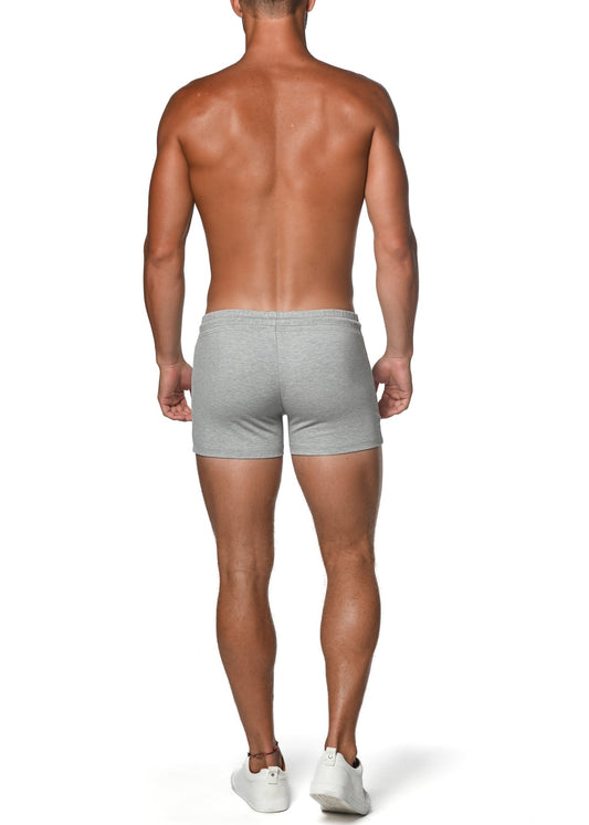 St33le Vault 3.5" Grey Gym Short