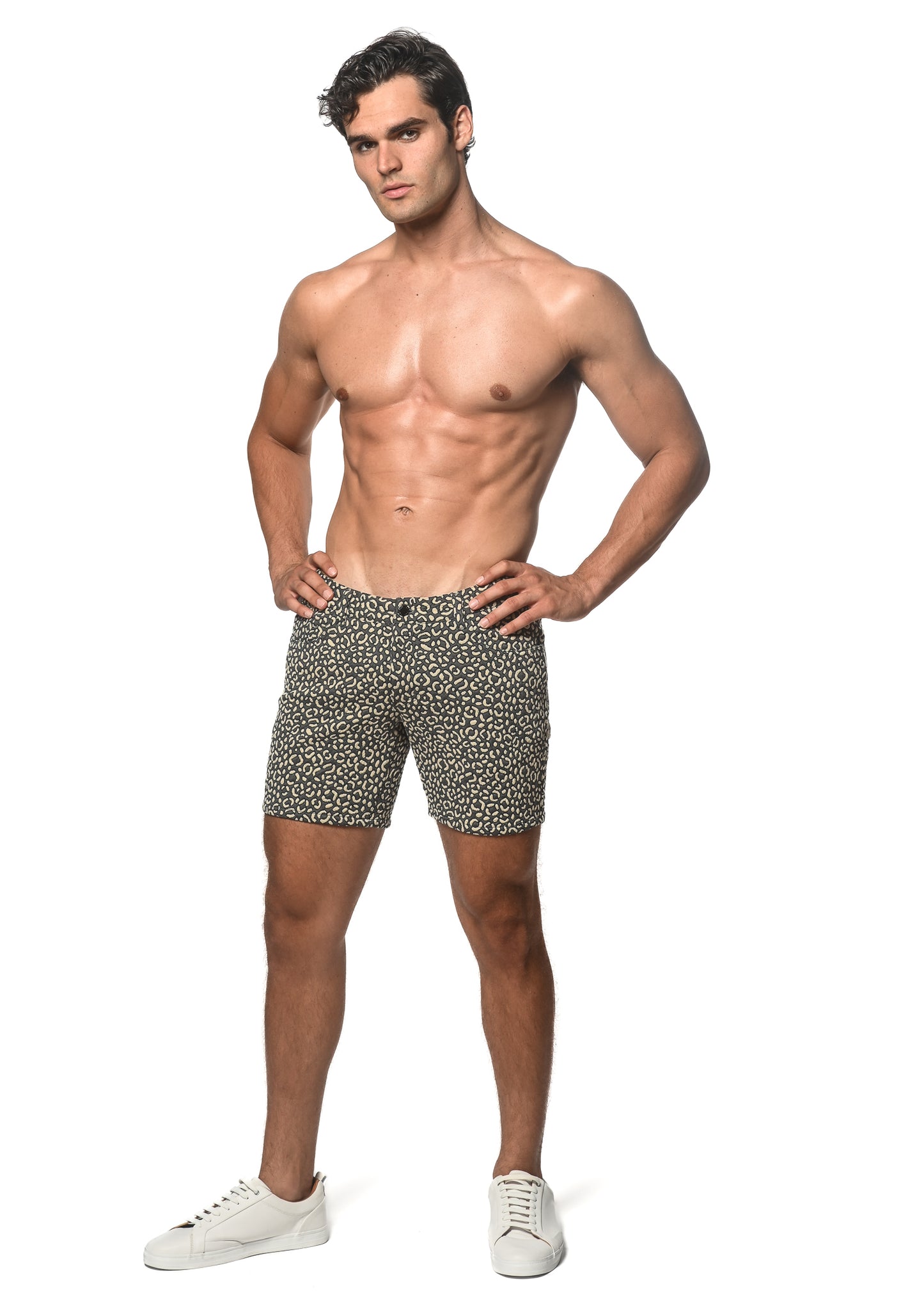 St33le Sand Pebbles Jacquard Knit Shorts