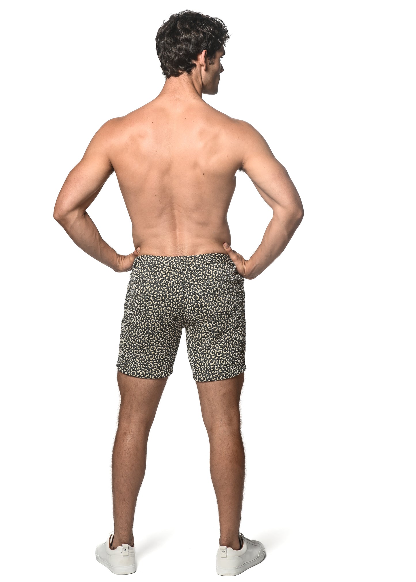 St33le Sand Pebbles Jacquard Knit Shorts