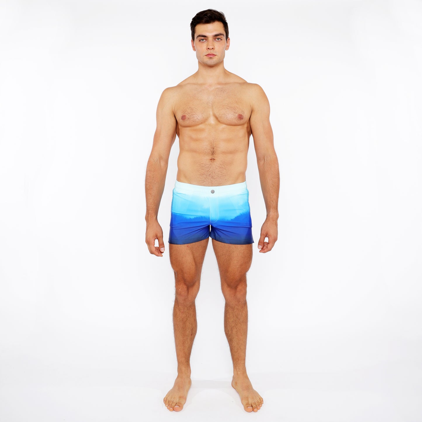 St33le Cerulean Gradient Swim Short