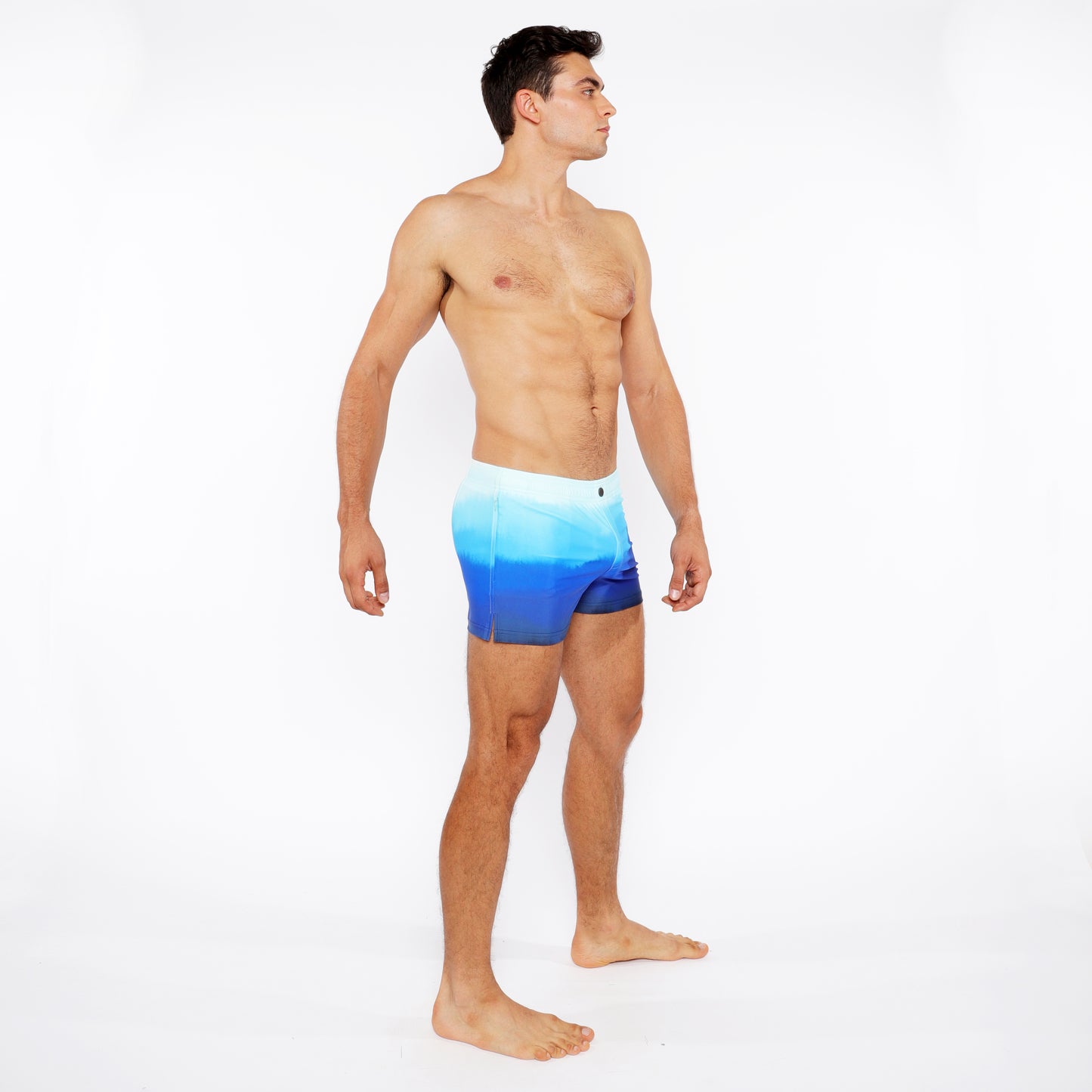 St33le Cerulean Gradient Swim Short