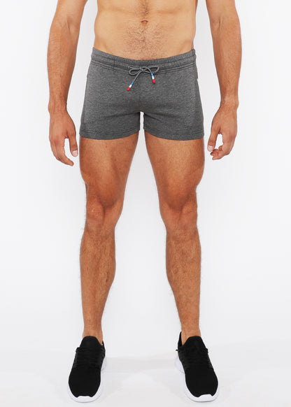 St33le Vault 3.5" Greystone Gym Short