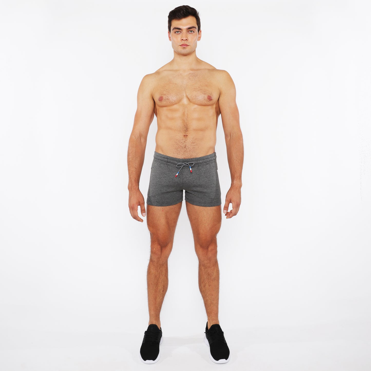 St33le Vault 3.5" Greystone Gym Short
