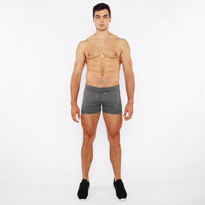 St33le Vault 3.5" Greystone Gym Short