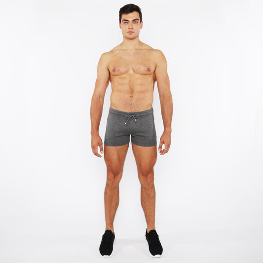 St33le Vault 3.5" Greystone Gym Short
