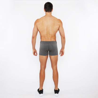 St33le Vault 3.5" Greystone Gym Short