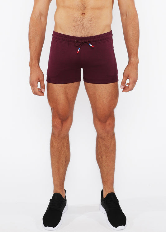 St33le Vault 3.5" Raisin Gym Short
