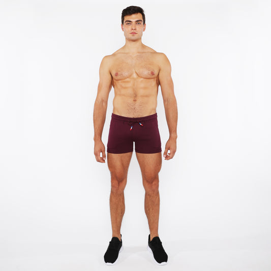 St33le Vault 3.5" Raisin Gym Short
