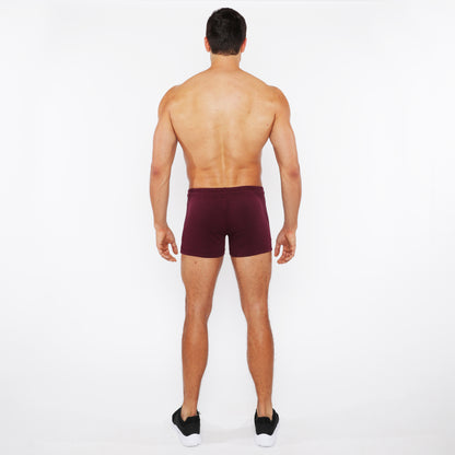 St33le Vault 3.5" Raisin Gym Short