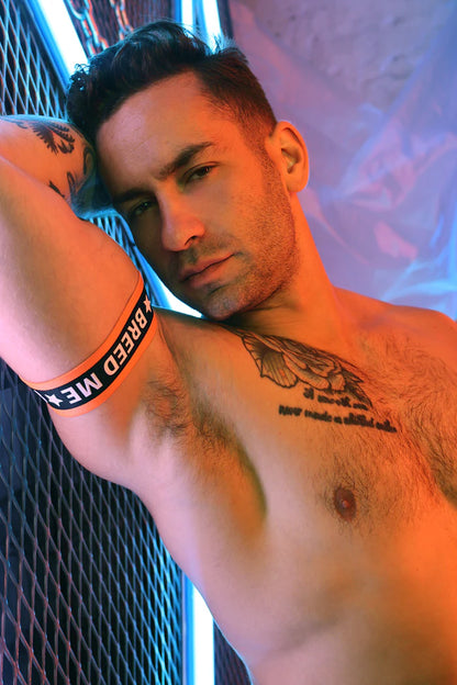 Breedwell Snax Armbands