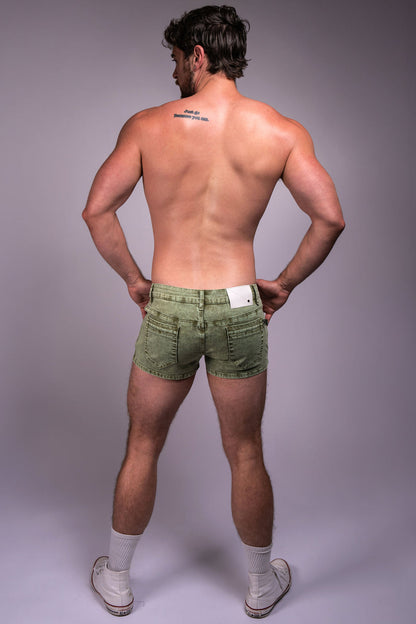 Tiger Horse Ceetee Snow Wash Short