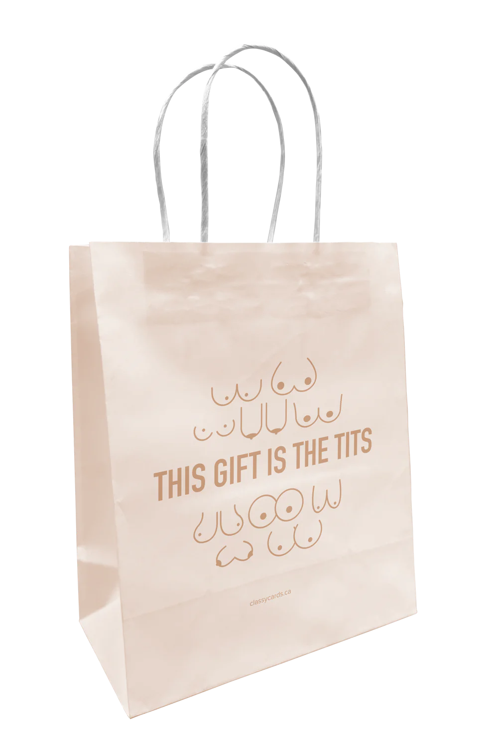 Classy Cards Creative Gift Bags