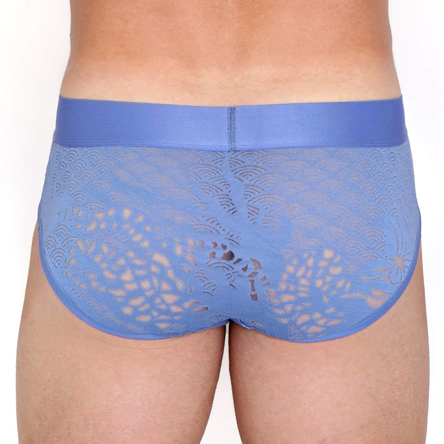 Skull & Bones Dragon Burnout Periwinkle Brief