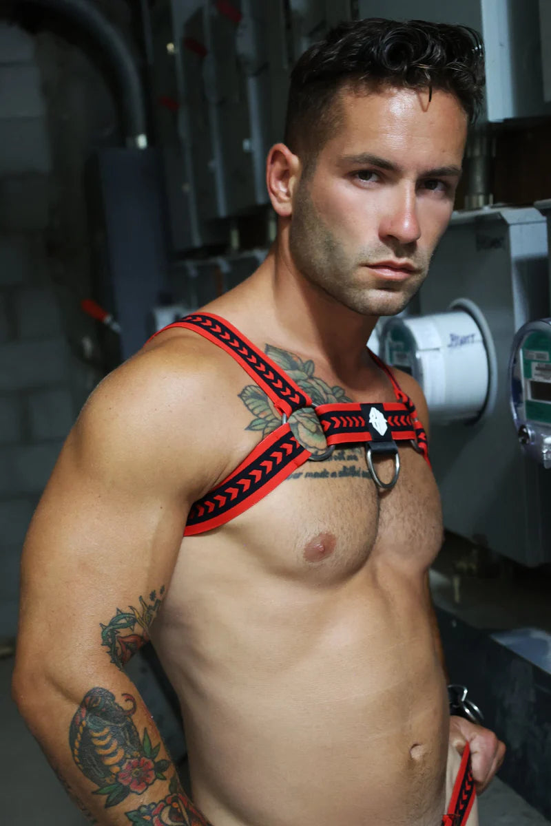 Breedwell Daddy's Favorite Bulldog Harness