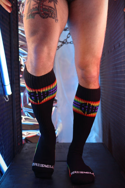 Breedwell Pride Socks